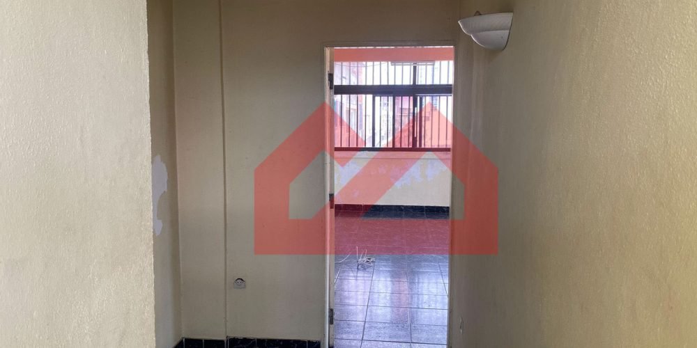 Imagem WhatsApp 2024-11-05 às 17.44.34_e685c3de