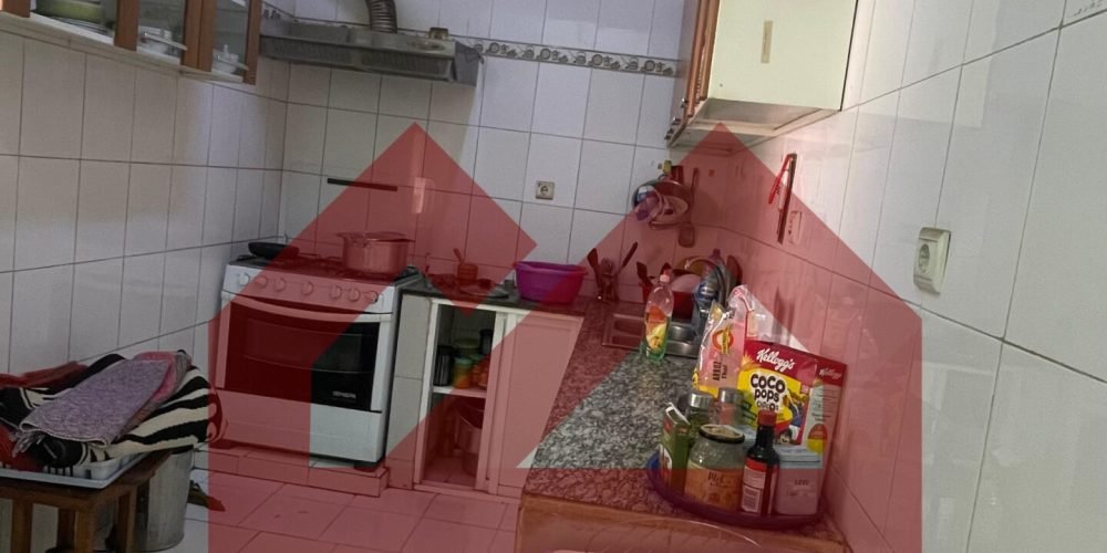 Imagem do WhatsApp de 2024-11-19 à(s) 12.24.53_82409097